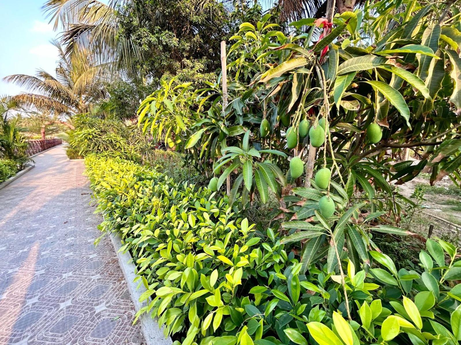 Palli Bangla Resort, Near Ruby Hospital, Anandapur Calcutta Eksteriør billede